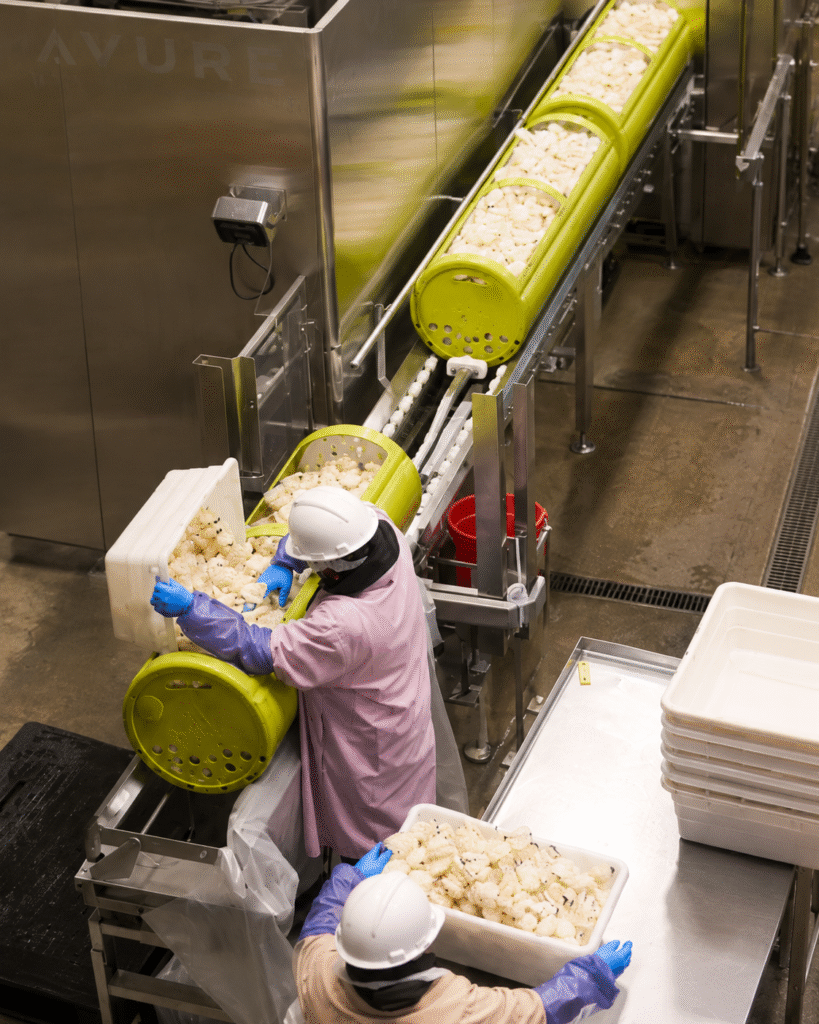 Workers loading packaged food into green HPP baskets on an APC processing line